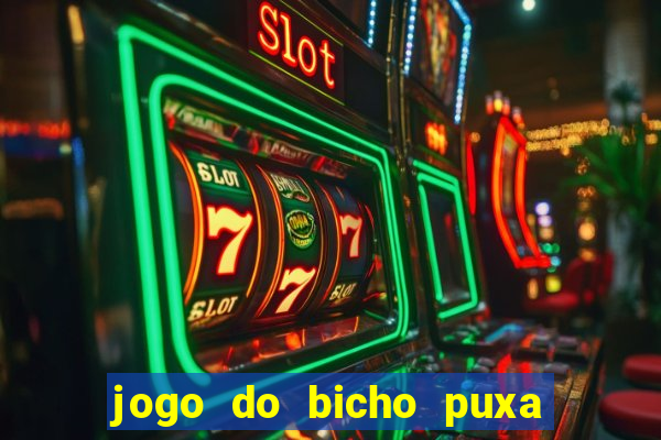 jogo do bicho puxa de dona maria